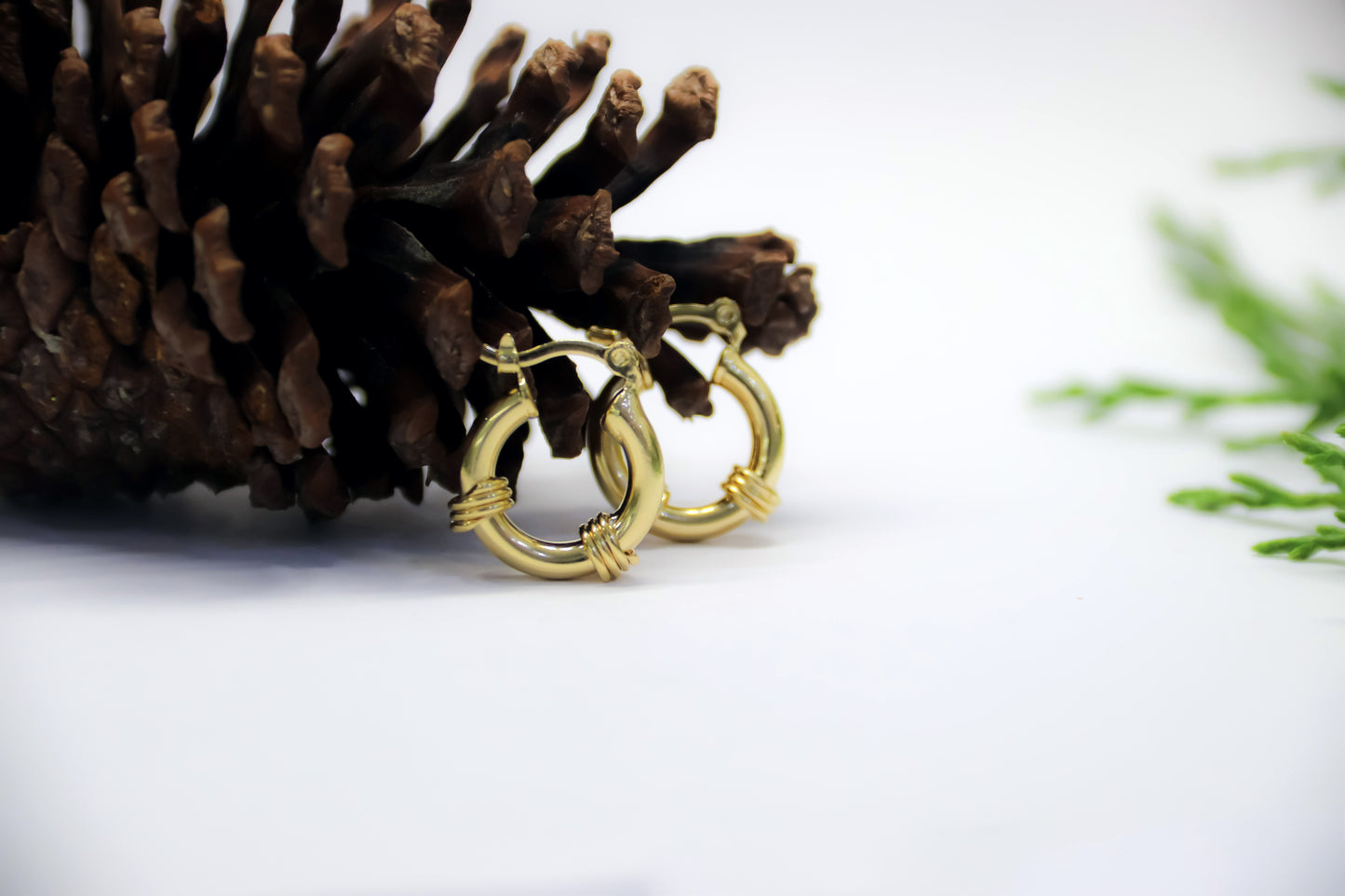 Aro Enlace Dorado ✨