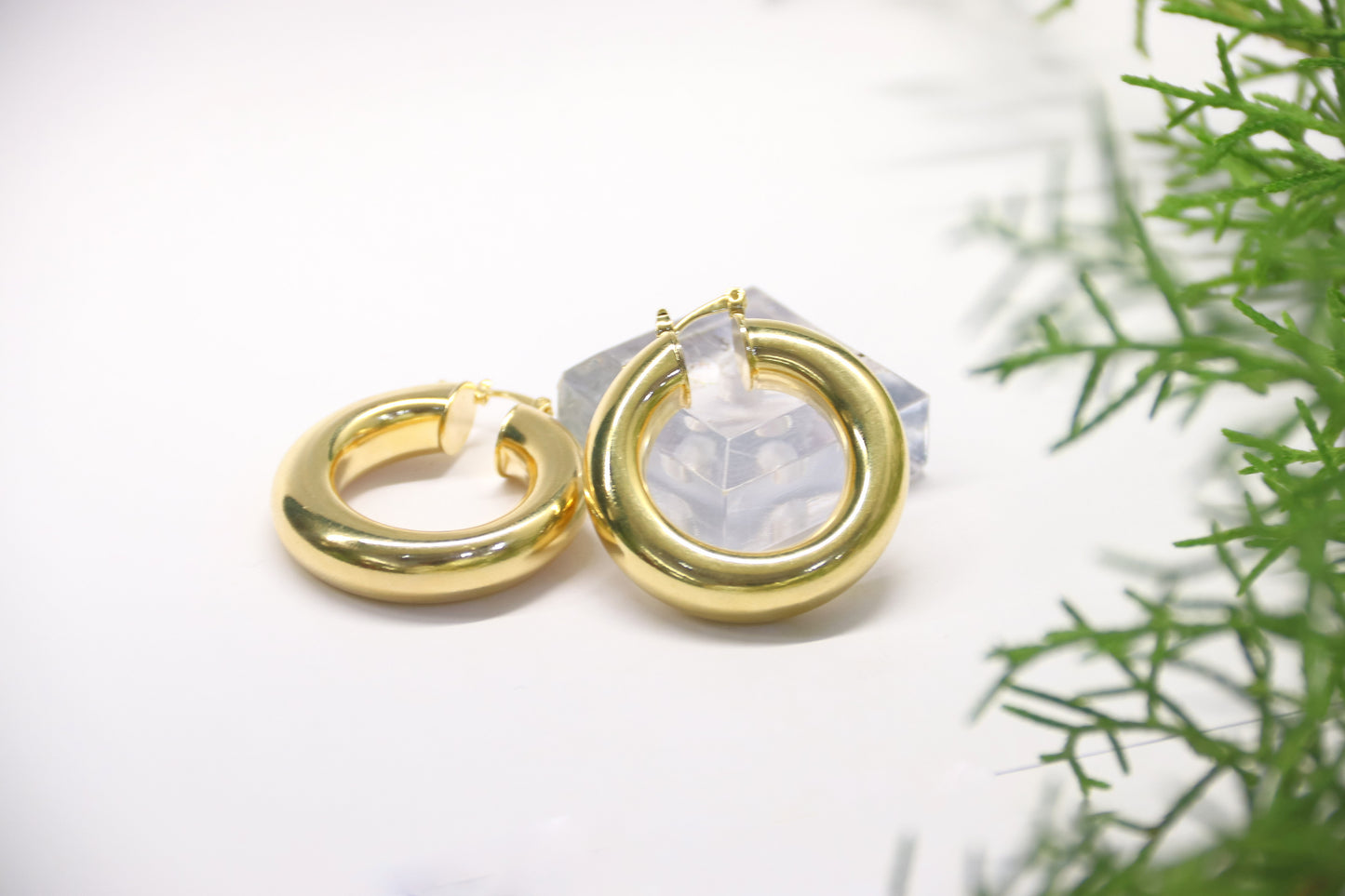 Argollas Aura Royale ✨