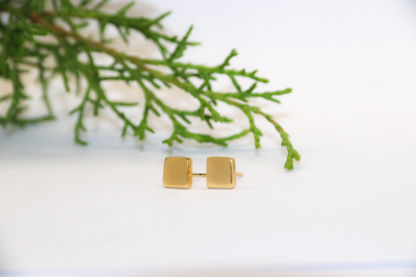 Dormilonas Cuadro Límpido ✨