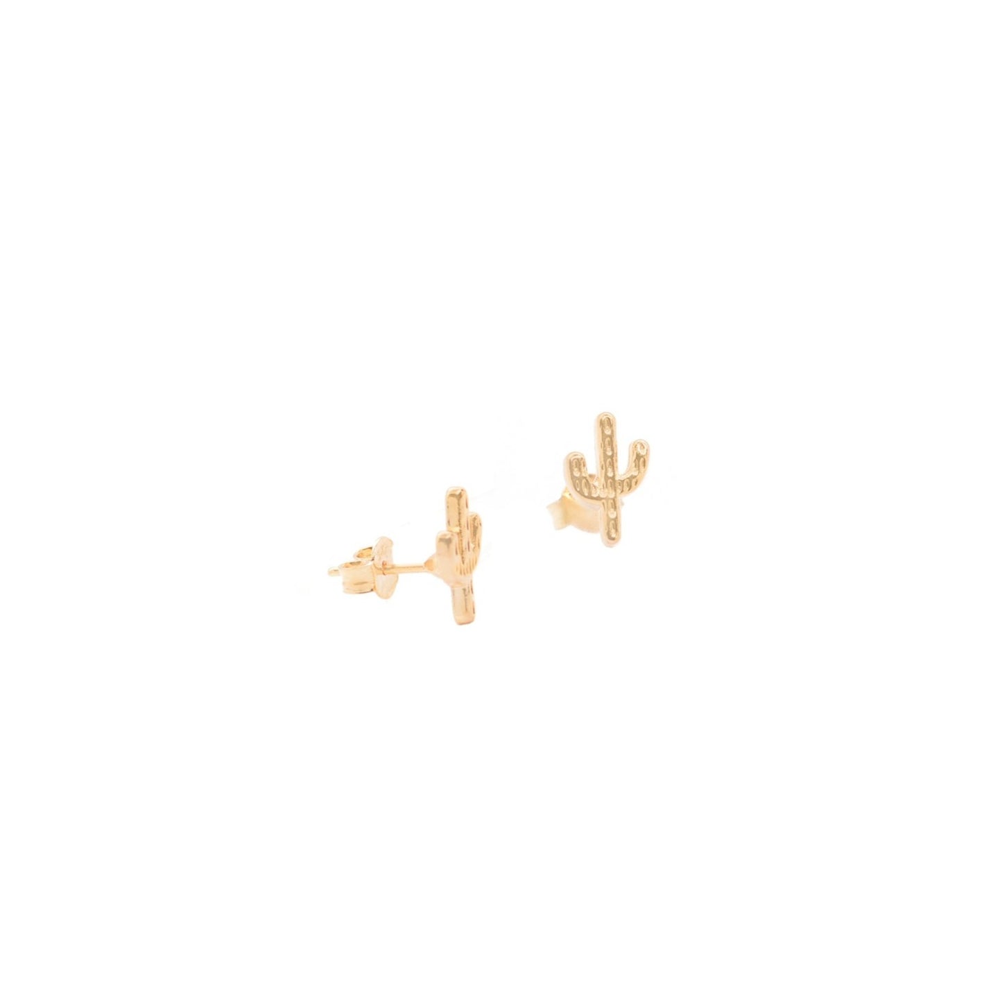 Aretes Cactus