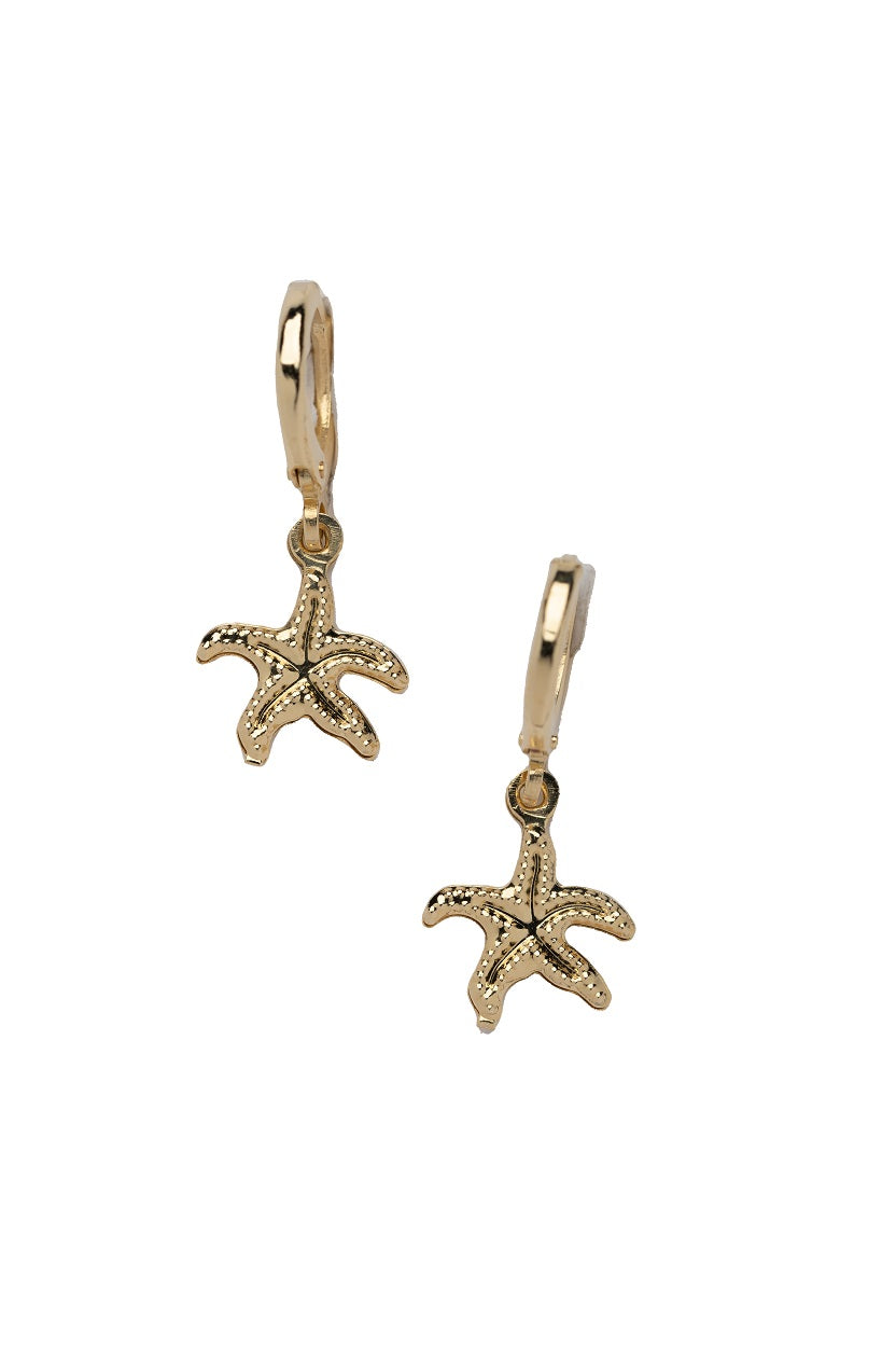 Argolla de estrella de mar