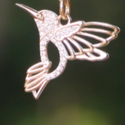 Dije Colibrí