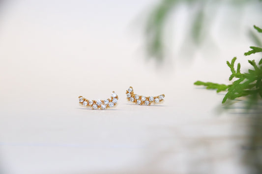 Aros Curva de Aurora ✨