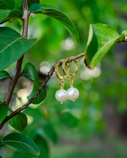 Aretes de Perlas