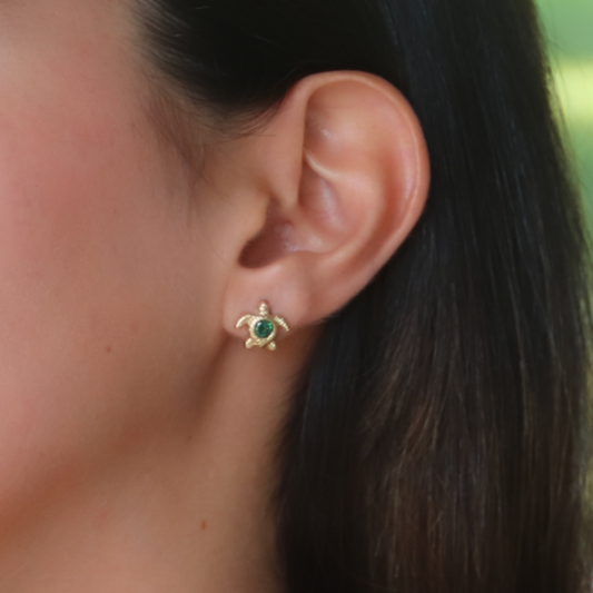 Aretes tortuga